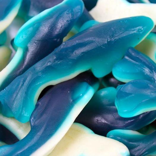Gummy Blue Sharks, Canadian Online Candy and Stuffed Animal Shop, SooSweet Shop DBA Sweet Factory
