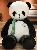 Giant Jumbo Plush Panda stuffed animal,SooSweetShop.ca
